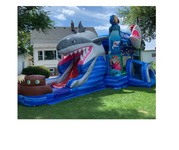 Shark-Water-Slide-Rentals-Chicago