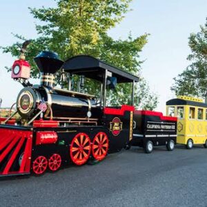 Trackless train
